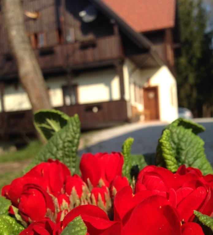 Pomona Relaxing Nature Guest House Rogaška Slatina Eksteriør bilde